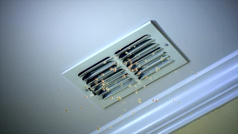 Best Local Air Duct Cleaning Services  in Lecanto, FL