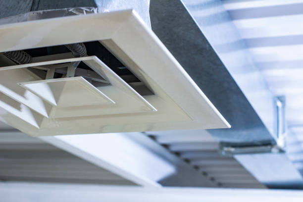 Best Air Vent Cleaning Services  in Lecanto, FL