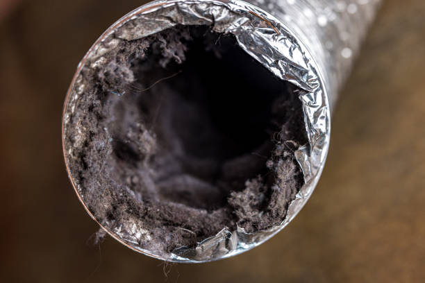 Best Ductwork Cleaning Services  in Lecanto, FL